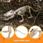 Joyfy Halloween Skeleton Fish Skeleton Halloween Decor,Plastic Skeleton with LED Eye for Halloween Decoration Outdoor Haunted House Party - Image 20