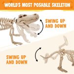 Joyfy Halloween Skeleton Fish Skeleton Halloween Decor,Plastic Skeleton with LED Eye for Halloween Decoration Outdoor Haunted House Party - Image 24