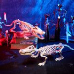 Joyfy Halloween Skeleton Fish Skeleton Halloween Decor,Plastic Skeleton with LED Eye for Halloween Decoration Outdoor Haunted House Party - Image 30
