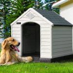 Waleaf Plastic Dog House Outdoor Indoor for Small Medium Larige Dogs,Waterproof Dog Houses with Elevated Floor and Air Vents,Durable Ventilate & Easy Clean and Assemble - Image 14