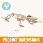 Joyfy Halloween Skeleton Fish Skeleton Halloween Decor,Plastic Skeleton with LED Eye for Halloween Decoration Outdoor Haunted House Party - Image 31